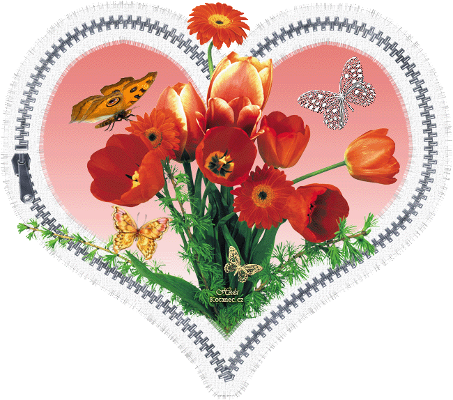 tulipany srdce