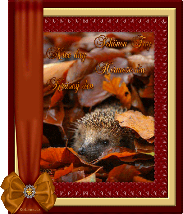 An den Beitrag angehängtes Bild: http://www.kotanec.cz/media/k2/attachments/030_kryAsnyz_podzim_-_beautiful_autumn.gif
