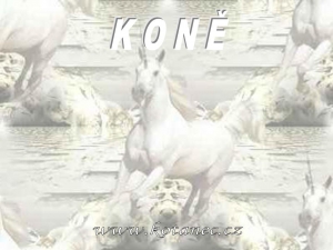005 - Koně